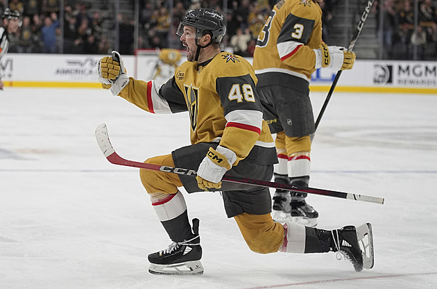 Na olympiádu pro medaili. Hertl přemýšlí odvážně, ale sám ví, že musí zůstat zdravý