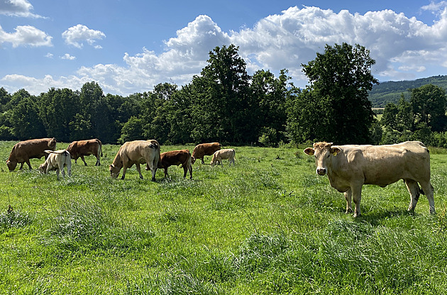 Fondu chybí 10 miliard. Stát odsuzuje k zániku horské oblasti, říkají farmáři