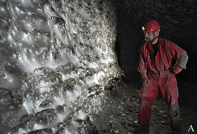 Vědci objevili pavoučí „megaměsto“ s 111 tisíci pavouky. Navedli je Češi