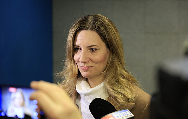 Další volby na dohled, strany v Brně už se houfují. Otazník je u primátorky i ANO