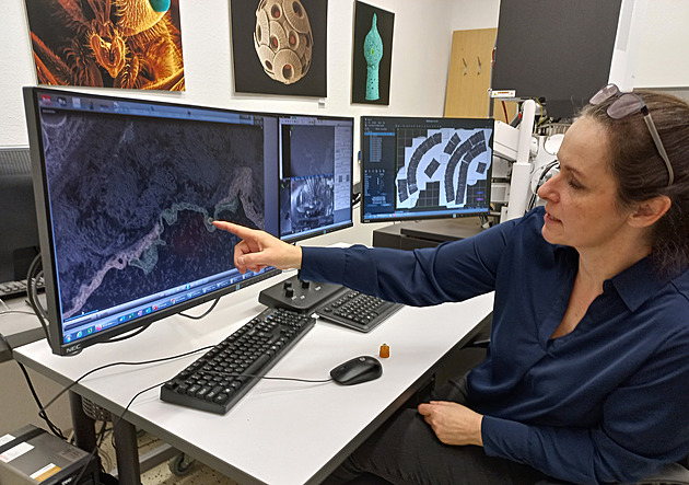 Borelie je mazaná, hledá skulinku mezi buňkami. Vědci zkoumají, jak ji zastavit