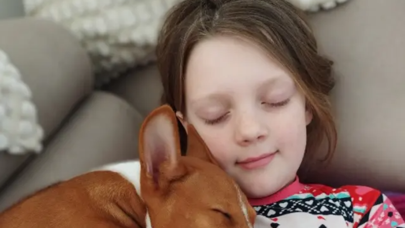 Billinka znovu bojuje o život: Dvouletá fenečka i její rodina potřebují pomoc