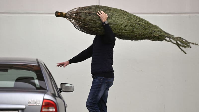 Jak převážet vánoční stromek? Jediný detail může znamenat vysokou pokutu