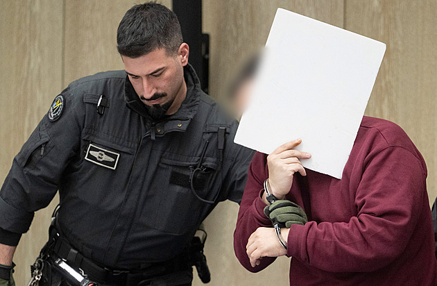 Němce, který najel v Mannheimu do lidí, odsoudili na doživotí na psychiatrii