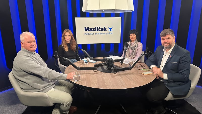 Videopodcast: Vaše tradice, moje trápení: Proč Vánoce bez živého kapra mohou být ohleduplnější