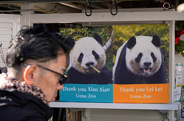 Japonsko bude poprvé po 50 letech bez pand, Siao Siao a Lej Lej se vrací do Číny
