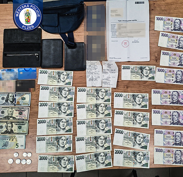 Muž ztratil při placení nákupu ledvinku naditou penězi, měl však štěstí na nálezkyni