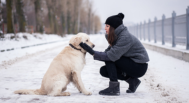 Omezování venčení psů na Silvestra se smál, dokud se mu nezaběhl vlastní pes