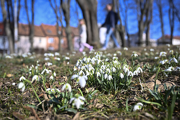 Teplotní rekordy padaly i poslední únorový den, v Jeseníku bylo 19,7 stupně