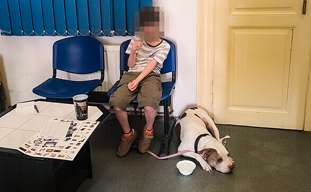 Chlapec se vydal za maminkou do práce a ztratil se. Pomohla náhoda